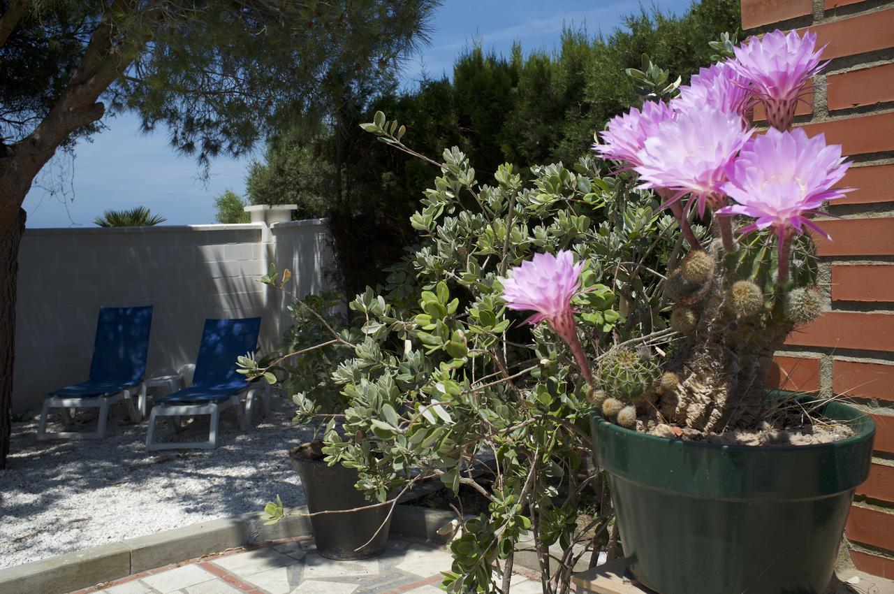Ilusiones Del Mar Guest House Ел Палмар Екстериор снимка